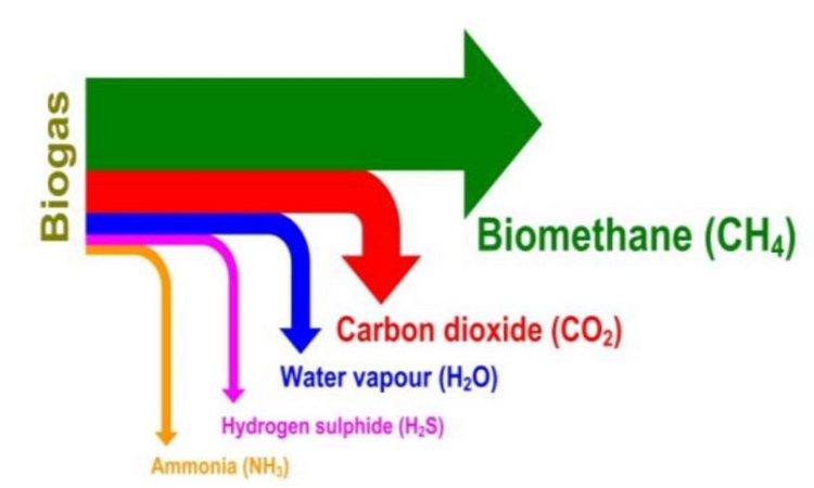 Compressed bio gas