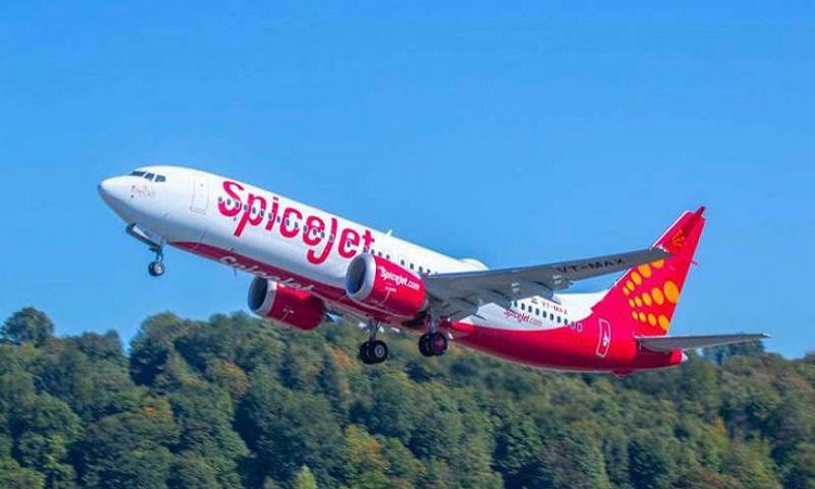 Bird hit SpiceJet