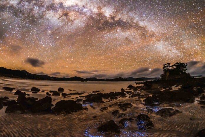 night sky sanctuary Ladakh