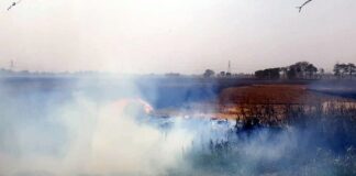 Air Pollution Punjab NCR