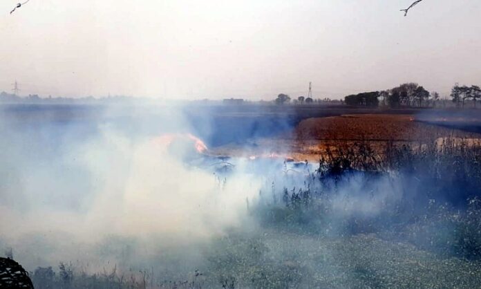 Air Pollution Punjab NCR