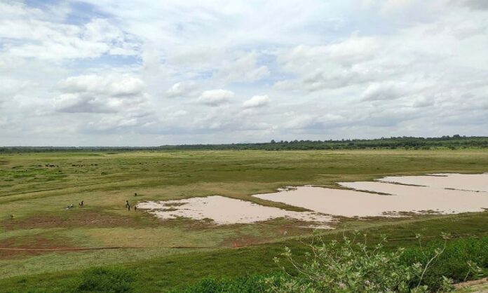 Hesaraghatta Grasslands