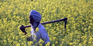 Agriculture in Indian economy