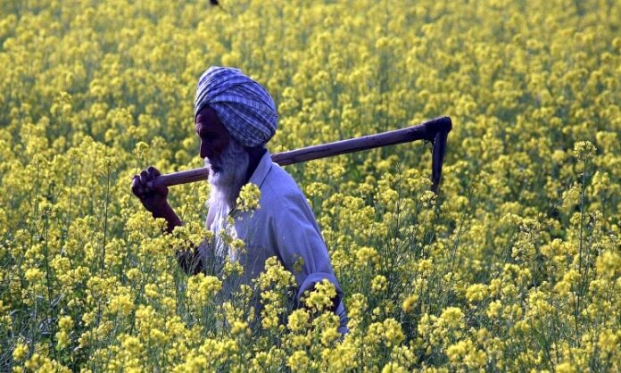 Agriculture in Indian economy