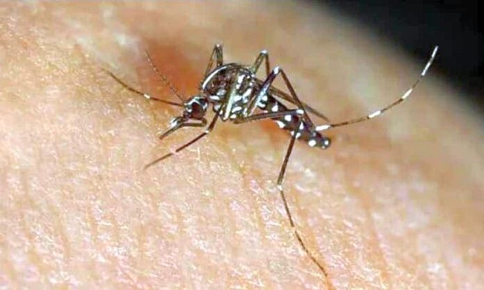 Zika virus Karnataka