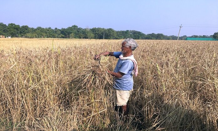 Foodgrain production target