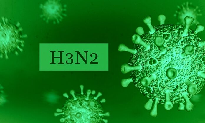 H3N2