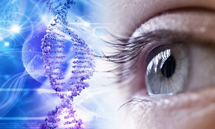 Gene therapy for eye diseases