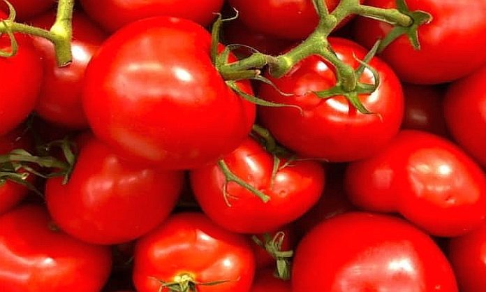 Tomatoes Nepal