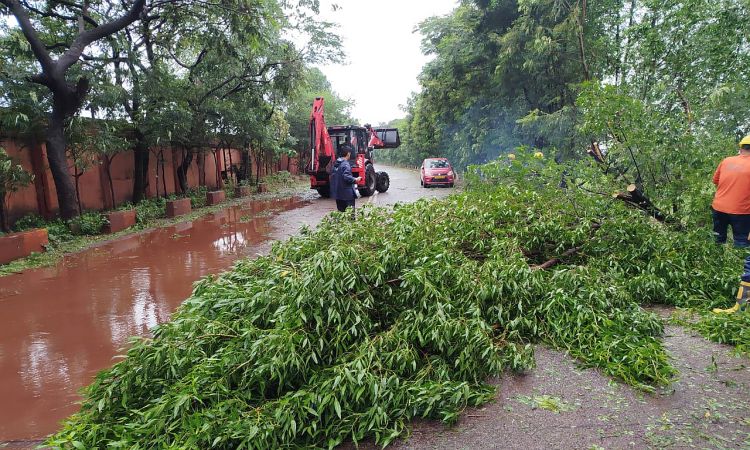 Cyclone Dana landfall