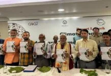 Climate crisis hits makhana production in Bihar, govt mulls societies Makhana Production in Bihar